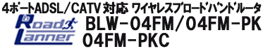 BLW-04FM